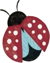Decorative accent graphic